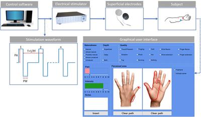 Evoking Apparent Moving Sensation in the Hand via Transcutaneous Electrical Nerve Stimulation